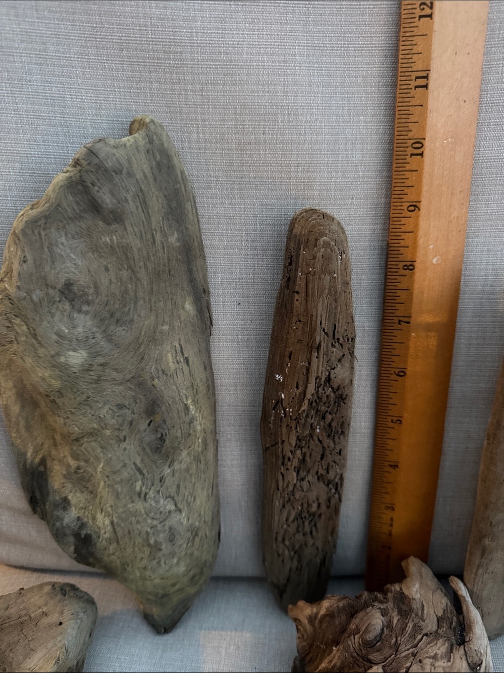 Natural Pacific Northwest Collected Beach Driftwood Decorative Accents 15 pcs - Picture 7 of 12